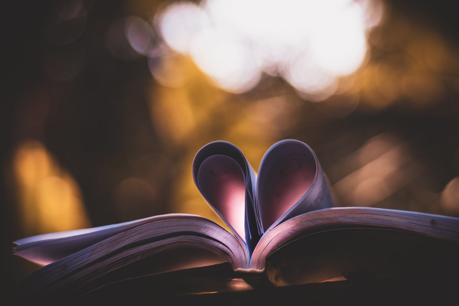 Pages of a book curled up to form a heart at the seam center of the book